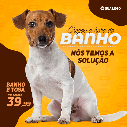 Pack do Design Exemplo 3